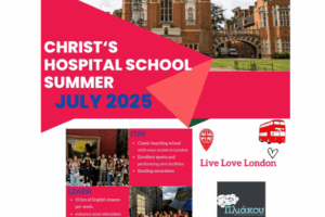 Untitled design (71)